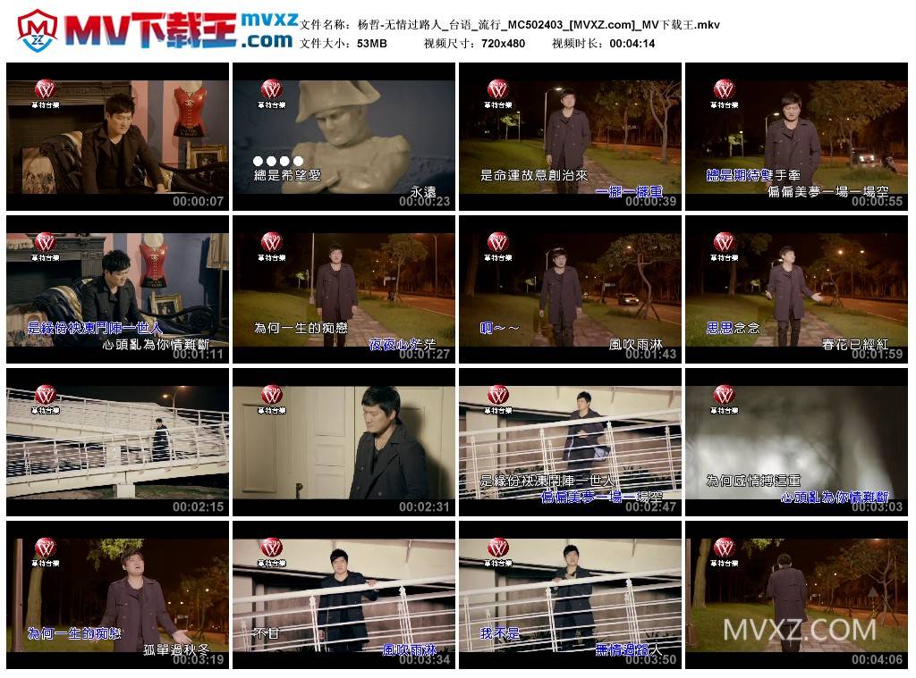 杨哲-无情过路人_台语_流行_MC502403